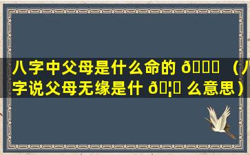 八字中父母是什么命的 🍁 （八字说父母无缘是什 🦆 么意思）